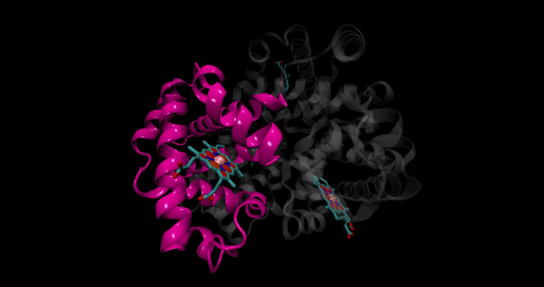 Drug Metabolism Optimisation
