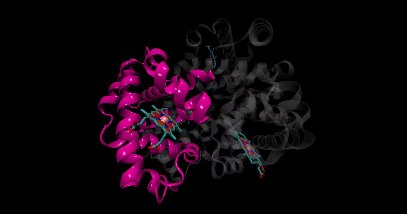 Drug Metabolism Optimisation