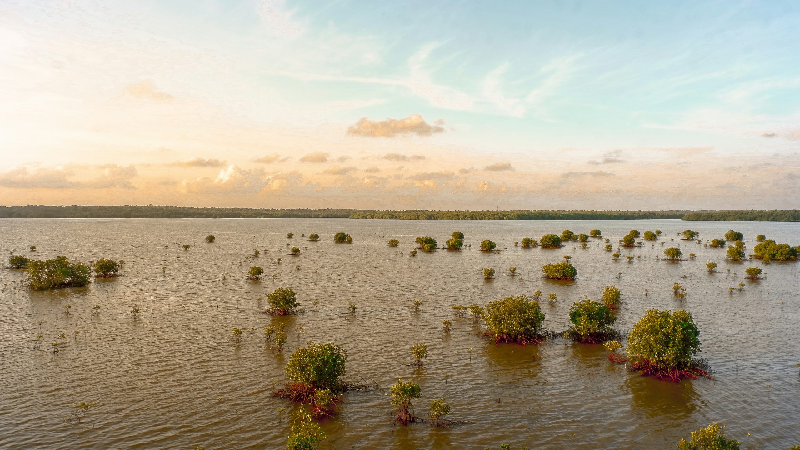 Flood Risk Assessment