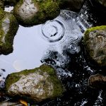 Water Resource Management