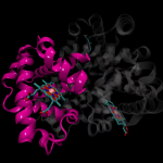 Drug Metabolism Design